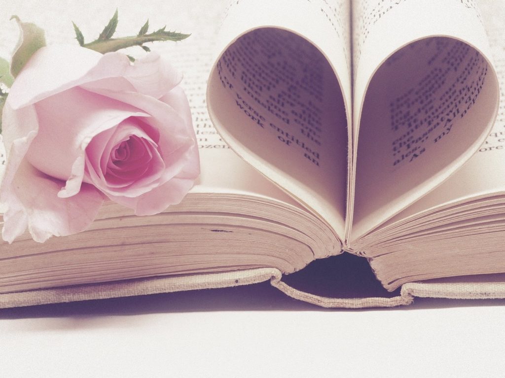 Pink rose on a book with heart pages