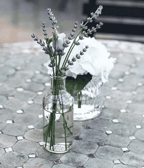 Vase of lavender.