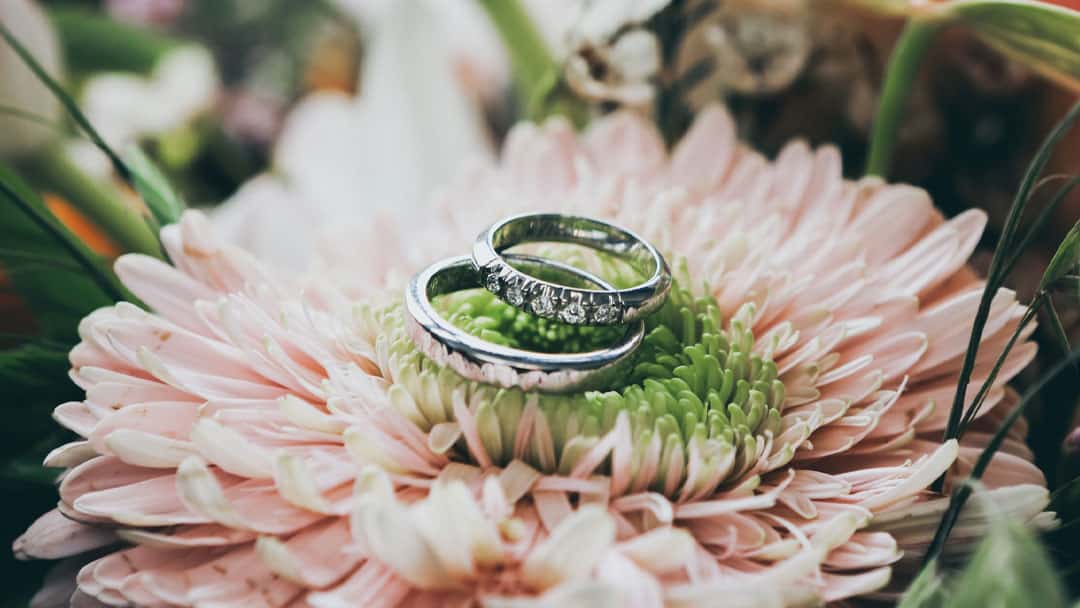 wedding bands on flowers